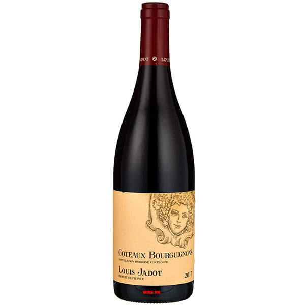 Rượu Vang Đỏ Louis Jadot Coteaux Bourguignon