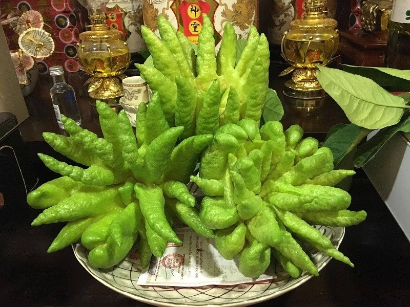 Quả phật thủ trái cây cúng Tết 