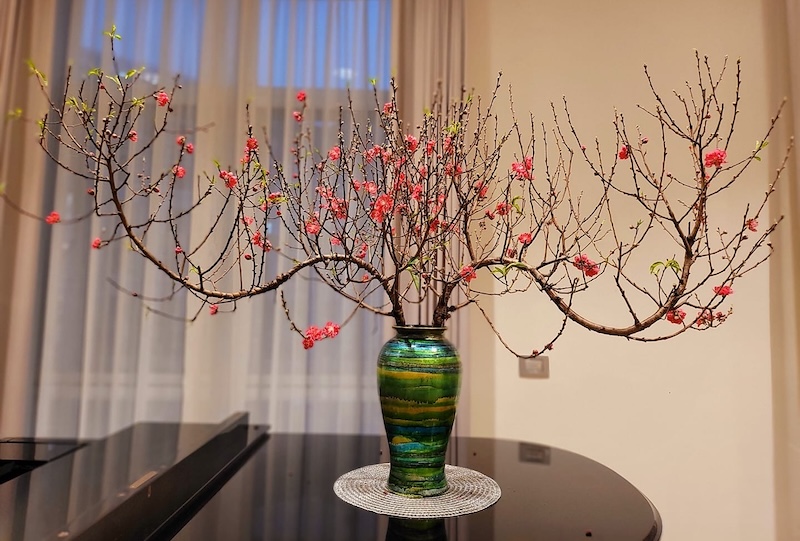 Chưng hoa đào ngày Tết ở miền Bắc