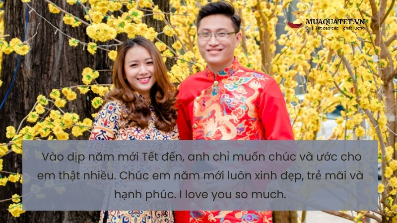 Chúc Tết vợ qua tin nhắn