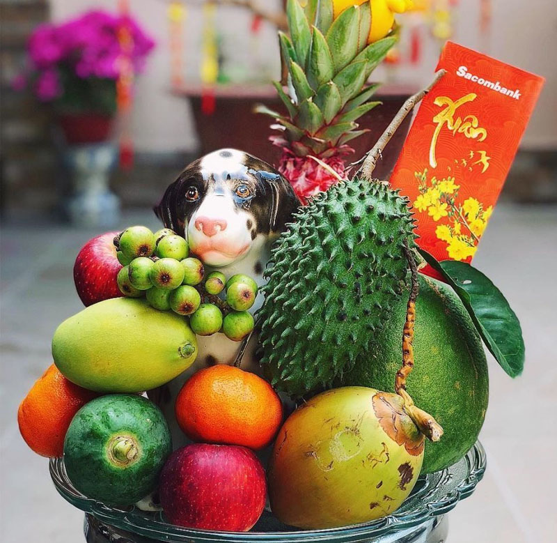 Mâm ngũ quả “Cầu sung vừa đủ xài” 