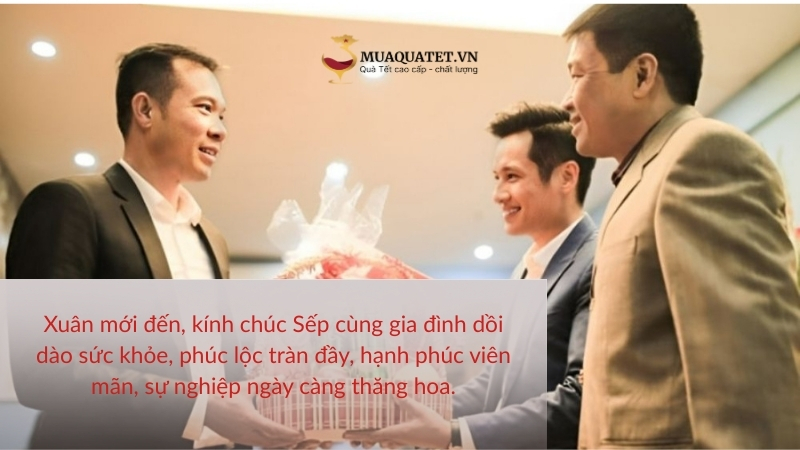 Câu chúc Tết dành cho sếp lớn tuổi