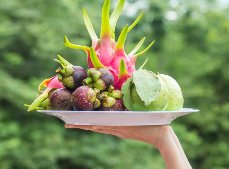 Thanh long là loại trái cây ngày Tết 