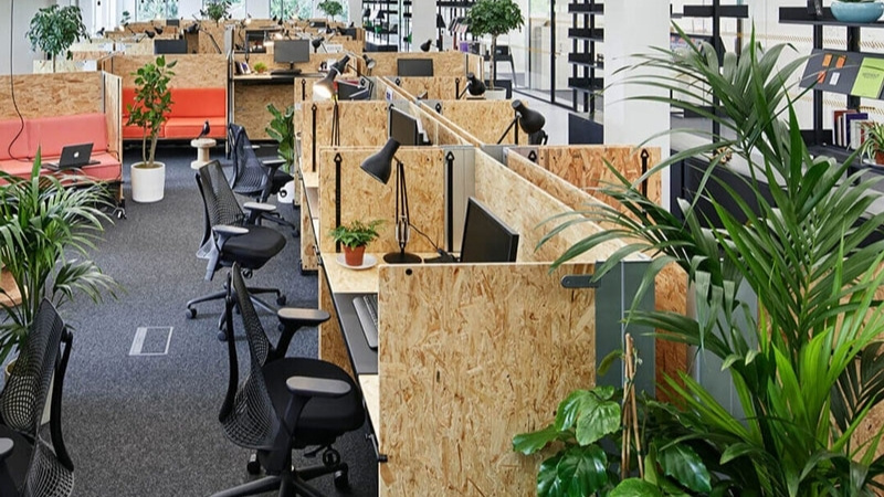 Trang trí Tết văn phòng với cây tài lộc