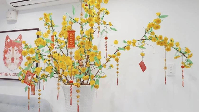 Trang trí Tết văn phòng với hoa mai
