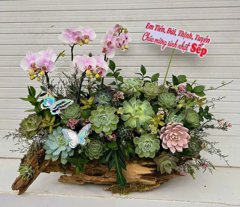 Hoa tươi ấn tượng tặng sếp nữ