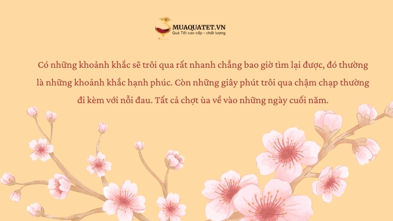 99+ Stt tổng kết cuối năm hài hước, ý nghĩa đón năm mới 23 stt cuối năm hài hước