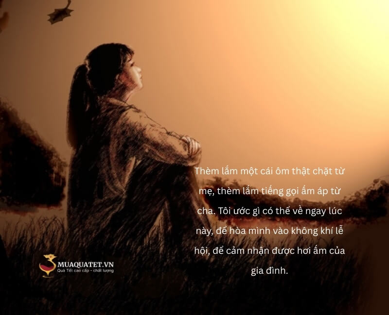 101+ Stt, caption Tết xa nhà buồn, nhớ quê hương, gia đình 14 Stt Tết buồn nhớ gia đình