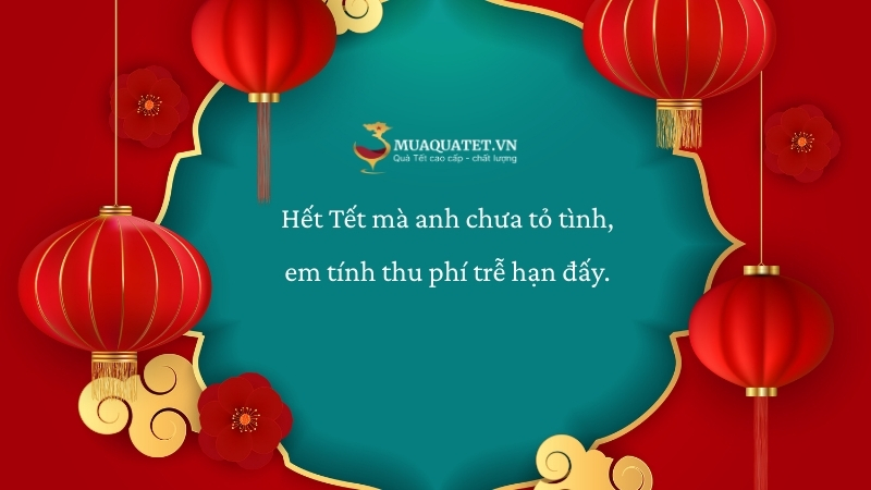 60+ Stt Hết Tết Hài Hước, Ngắn Gọn, Cap Facebook Hết Tết 15 Stt hết Tết thả thính