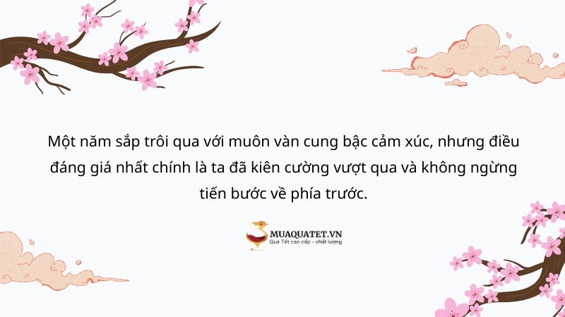 99+ Stt tổng kết cuối năm hài hước, ý nghĩa đón năm mới 19 cap cuối năm