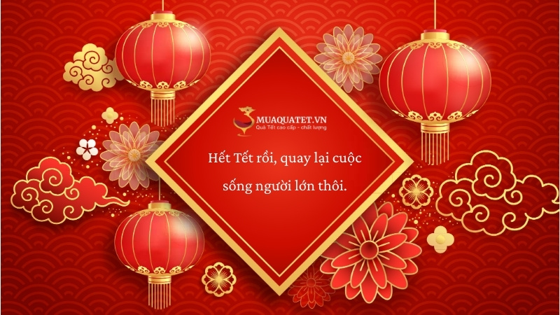 60+ Stt Hết Tết Hài Hước, Ngắn Gọn, Cap Facebook Hết Tết 17 STT ngắn gọn hết Tết