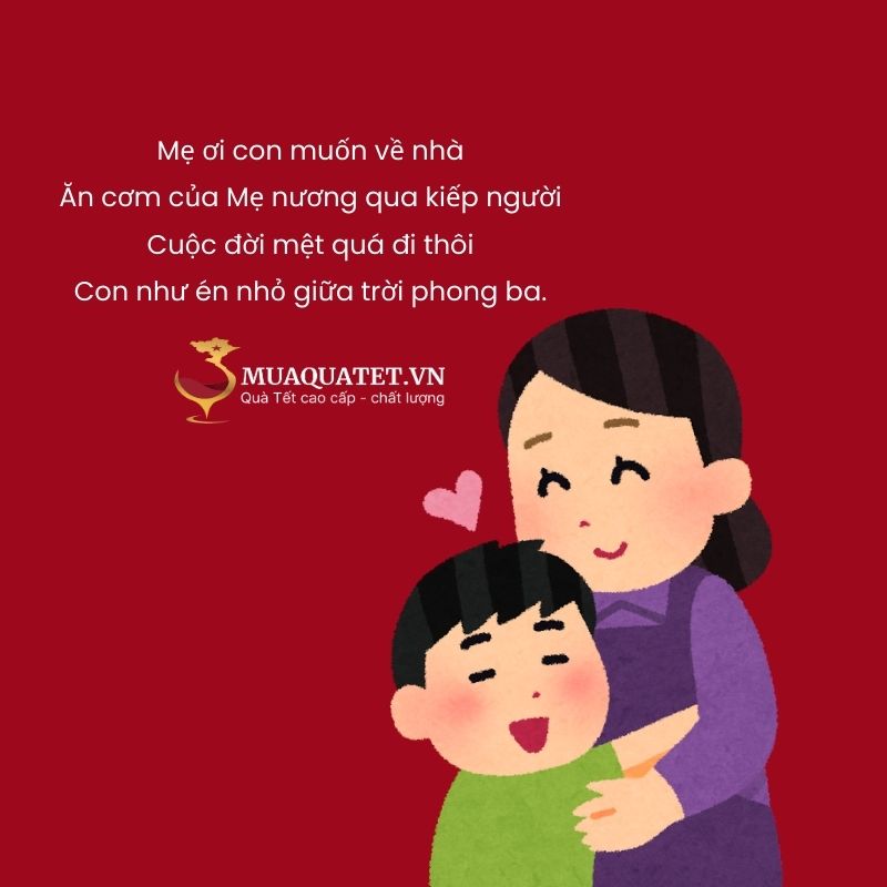 101+ Stt, caption Tết xa nhà buồn, nhớ quê hương, gia đình 19 Thơ Tết buồn khi xa nhà