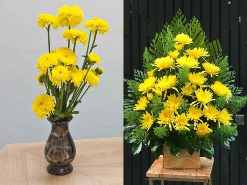 Hoa cúc vàng chưng bàn thờ Tết