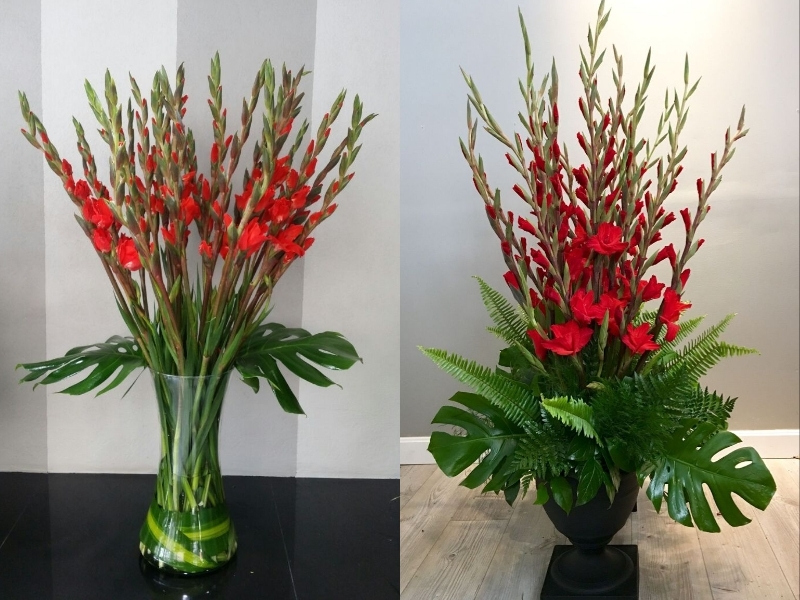 Hoa lay ơn đỏ trang trí bàn thờ Tết