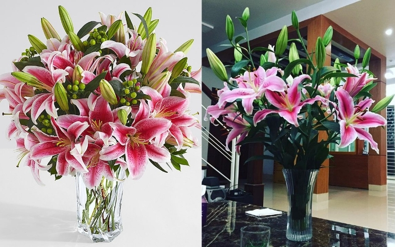 Hoa Ly cắm trong bình trong suốt