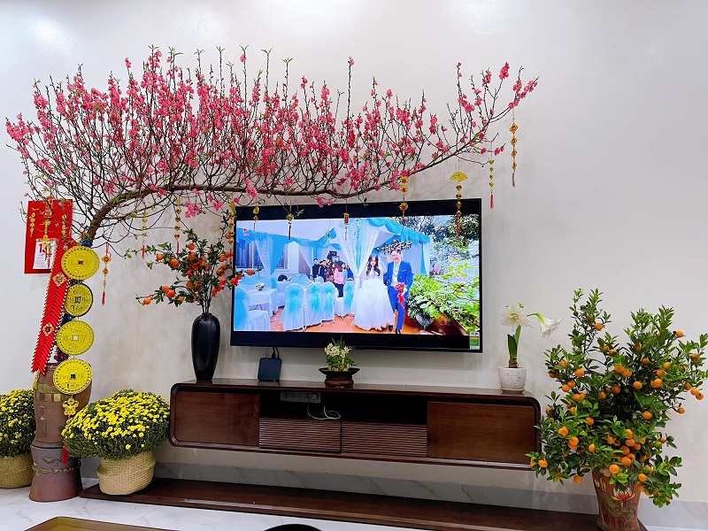 trang trí hoa đào đón Tết