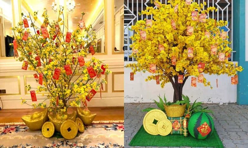 Chưng hoa mai trang trí nhà đón Tết