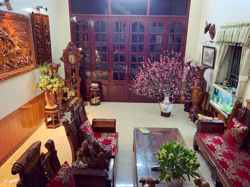 Trang trí Tết phòng khách bằng cây cảnh