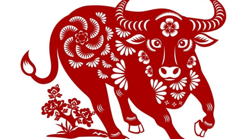 Năm nay 2026 tuổi nào xông nhà thì đẹp, may mắn, tài lộc? 37 Tuổi sửu hợp tuổi nào xông nhà năm 2026