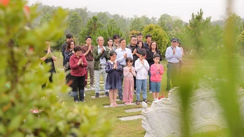 Nguồn gốc của tảo mộ