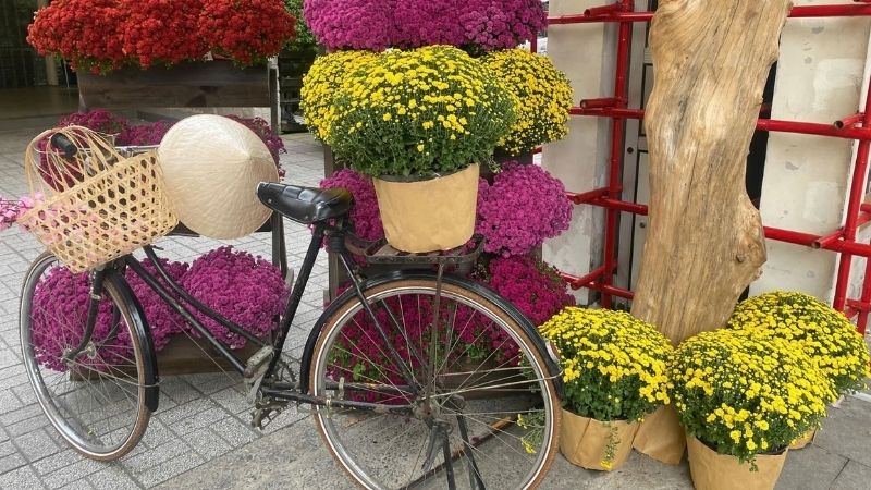 20+ ý tưởng trang trí Tết cho quán Cafe đẹp, thu hút khách 44 Góc check-in với xe đạp chở hoa ngày Tết