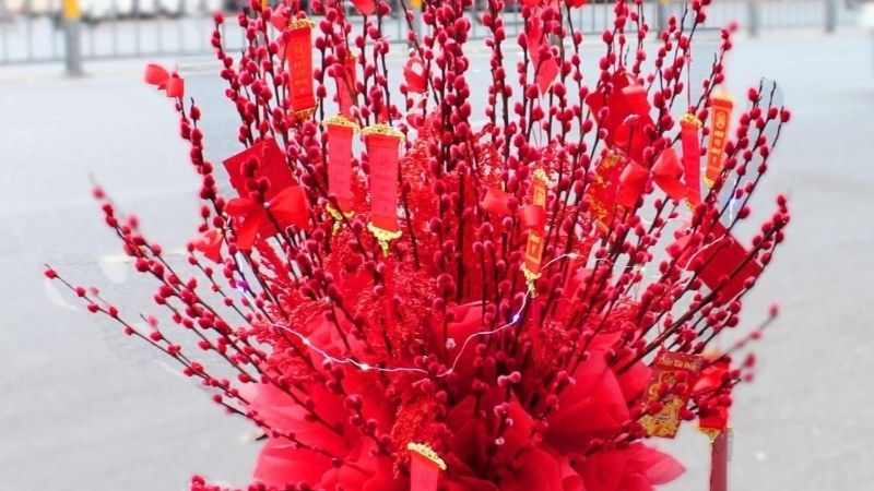 Cây Tết với nụ tầm xuân