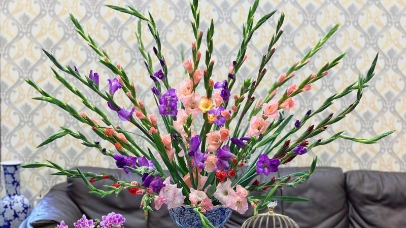 Hoa lay ơn chưng Tết