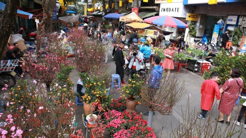 Hình ảnh chợ hoa ngày Tết